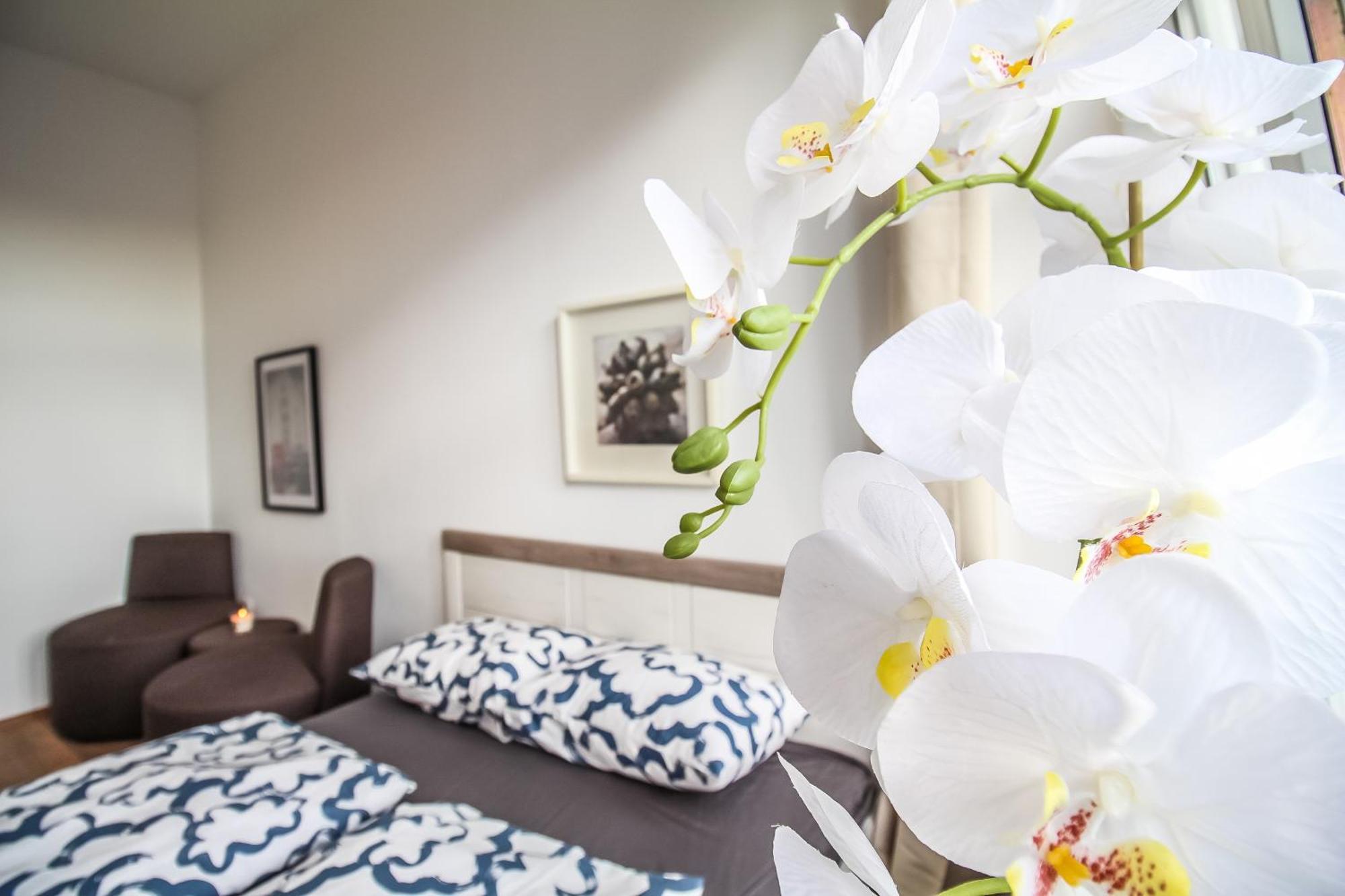 Disc Cozy Rooms In Liesing Wien Exterior foto